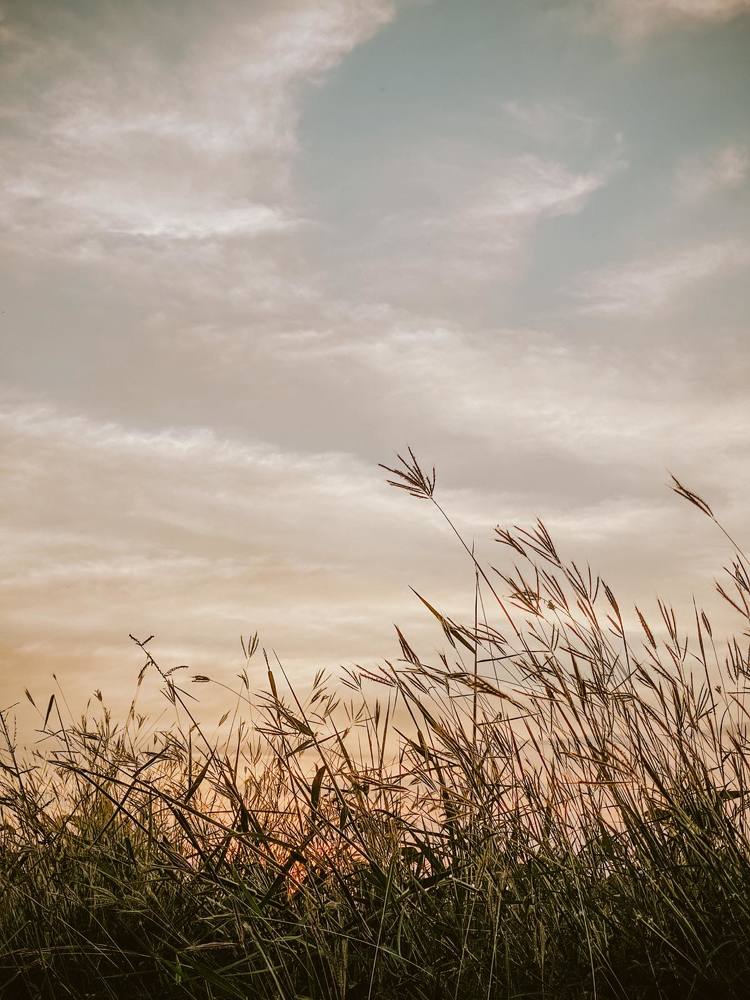 Фотография автора Maria Chriselle Del Rosario