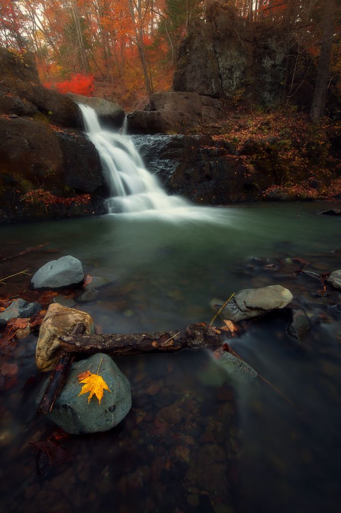 Photograph by Андрей Кровлин