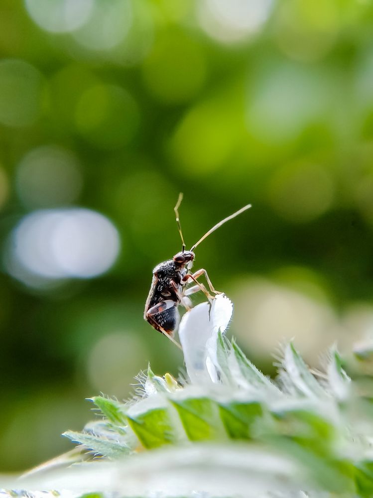 Photograph by Nikhila R