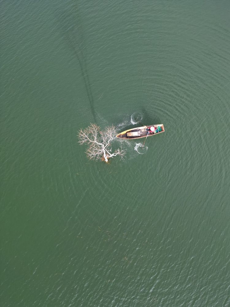 Photograph by Phong Đình