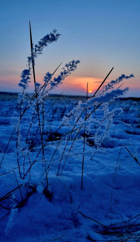 Photograph by Наталья Анисимова