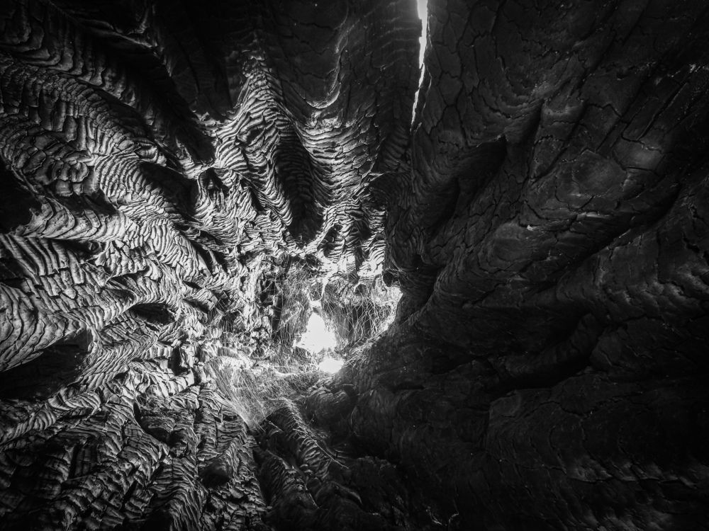 Мёртвое даёт дом живым