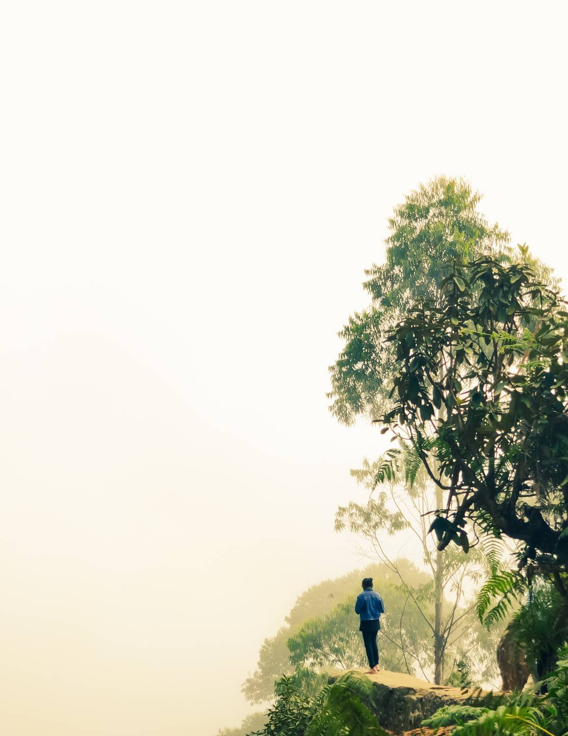Photo #8904851