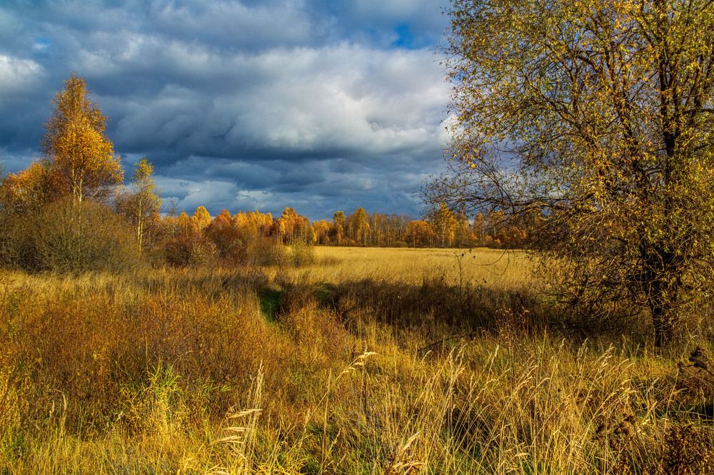 Перед грозой