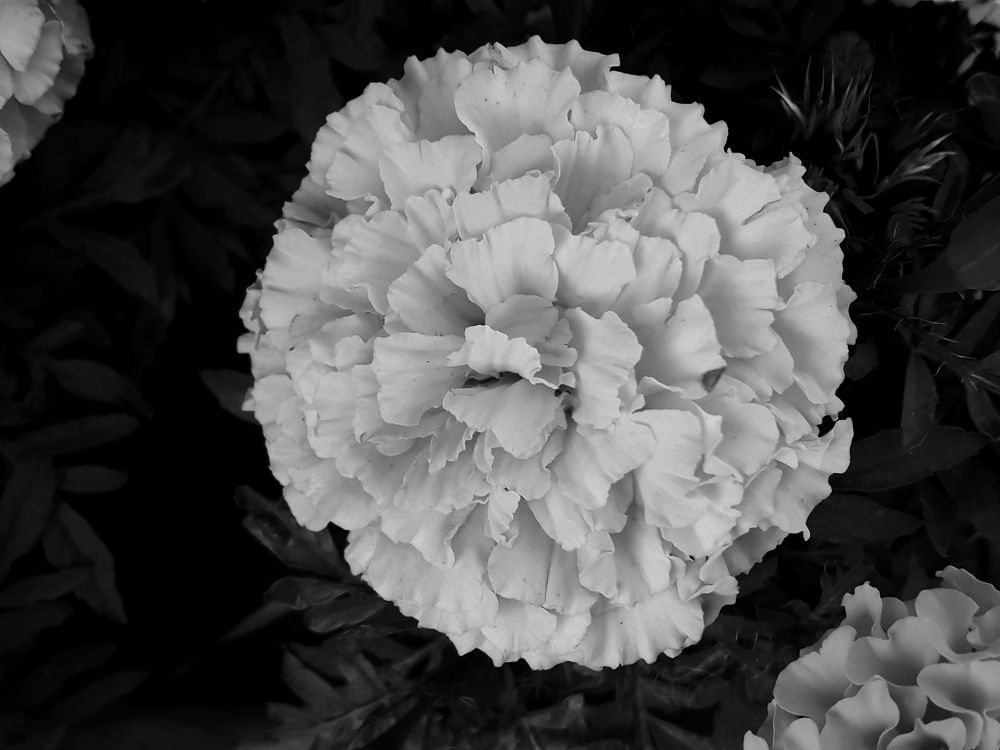 Photograph by Alejandra Spessot