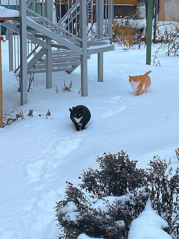 Photograph by Ксения Орлова