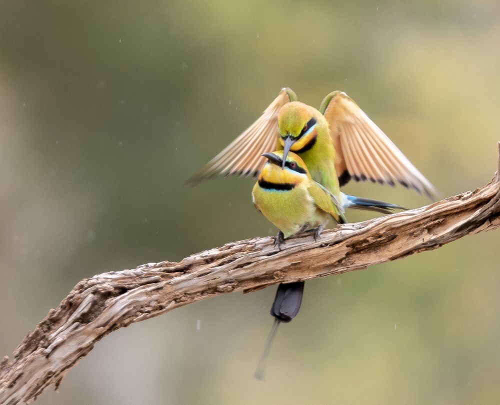 Photograph by Dennis Vagner