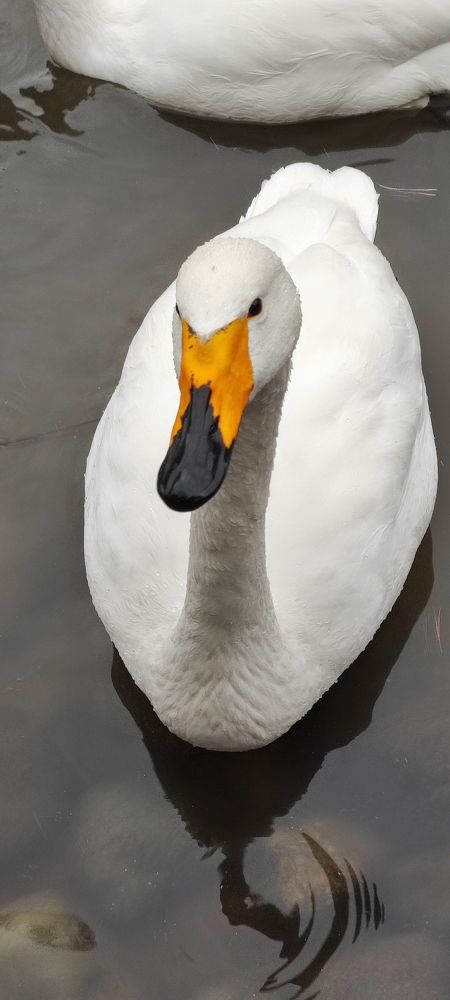 Photograph by Кадырова Анастасия