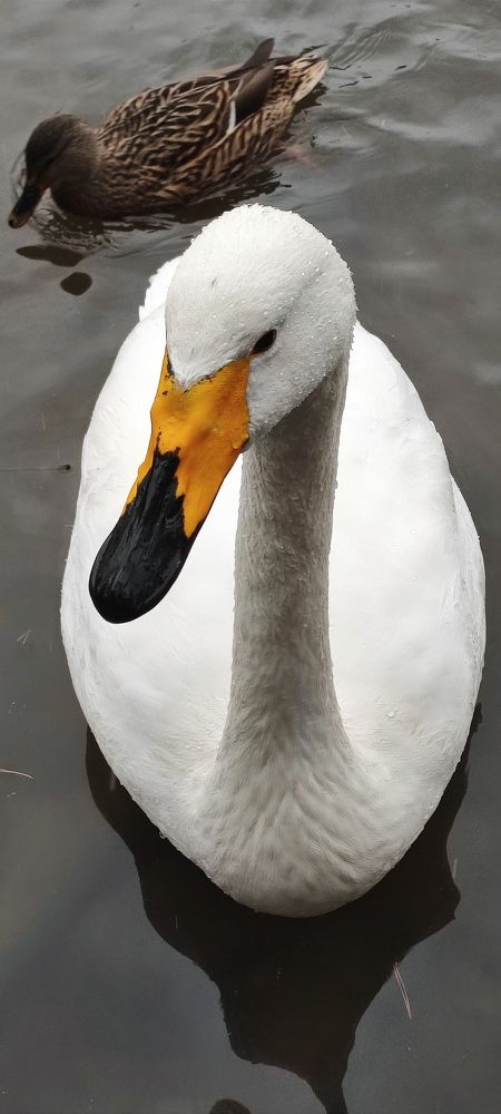 Photograph by Кадырова Анастасия