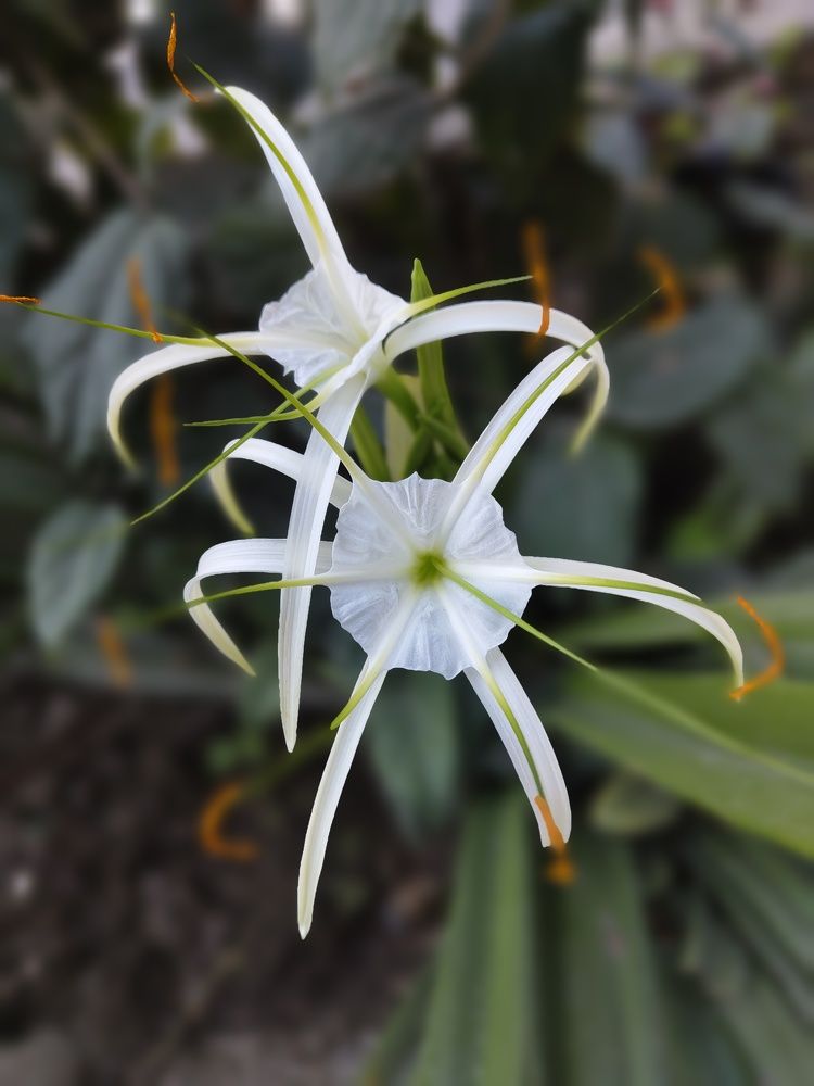 Photograph by Anil Yadav