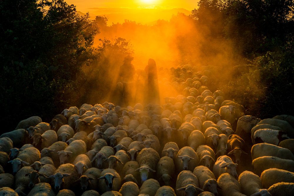 Photograph by Minh Tú Nguyễn