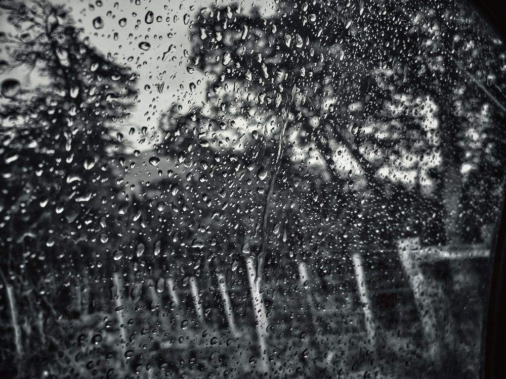 Photograph by Maria Ines Gomez