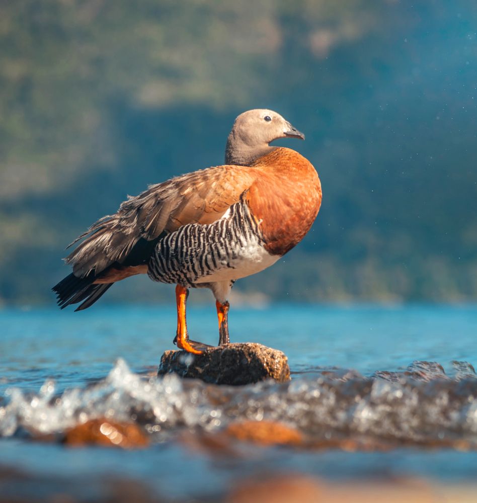 Photograph by Maria Ines Gomez