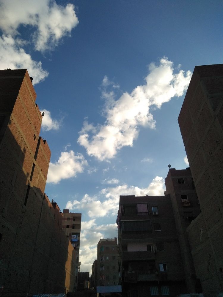 Photo #8905097
