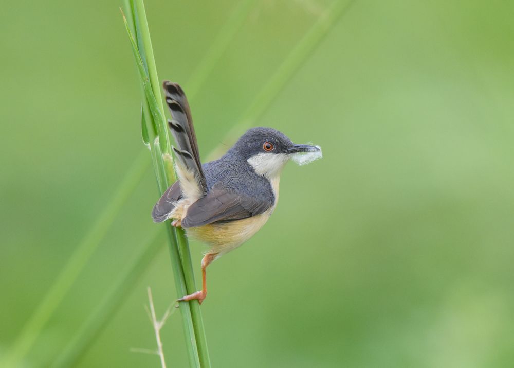 Photograph by Dinuka Sachintha