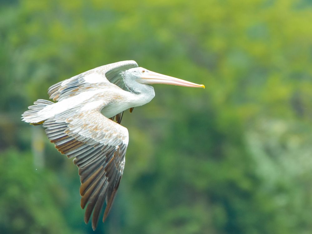 Photograph by Dinuka Sachintha