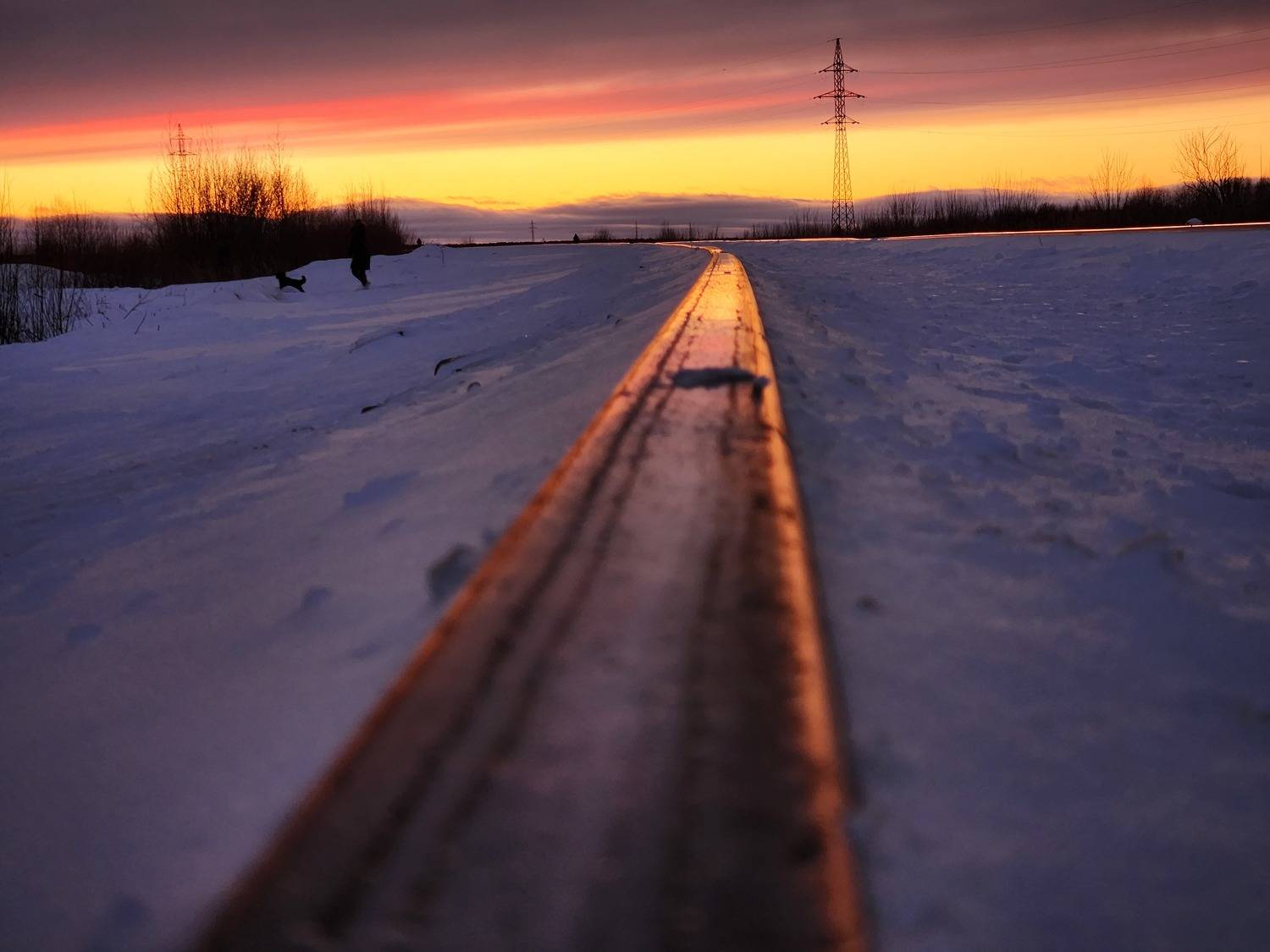 Photo #8905128