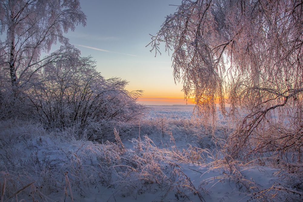 Photograph by Дмитрий Алексеев