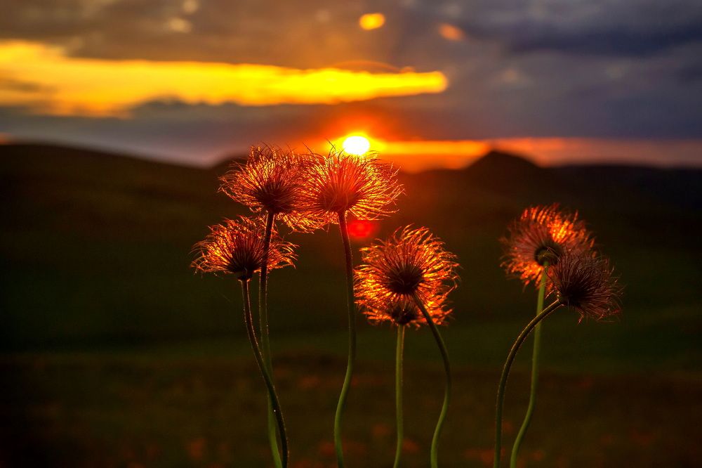 Photograph by Владимир Акиньшин