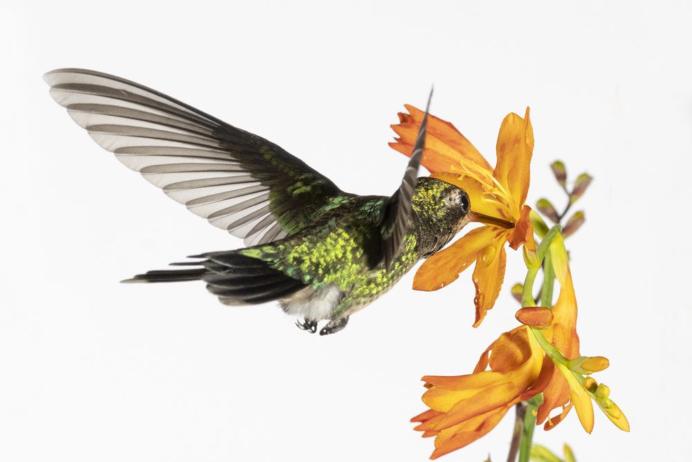 Photograph by Esteban Argerich