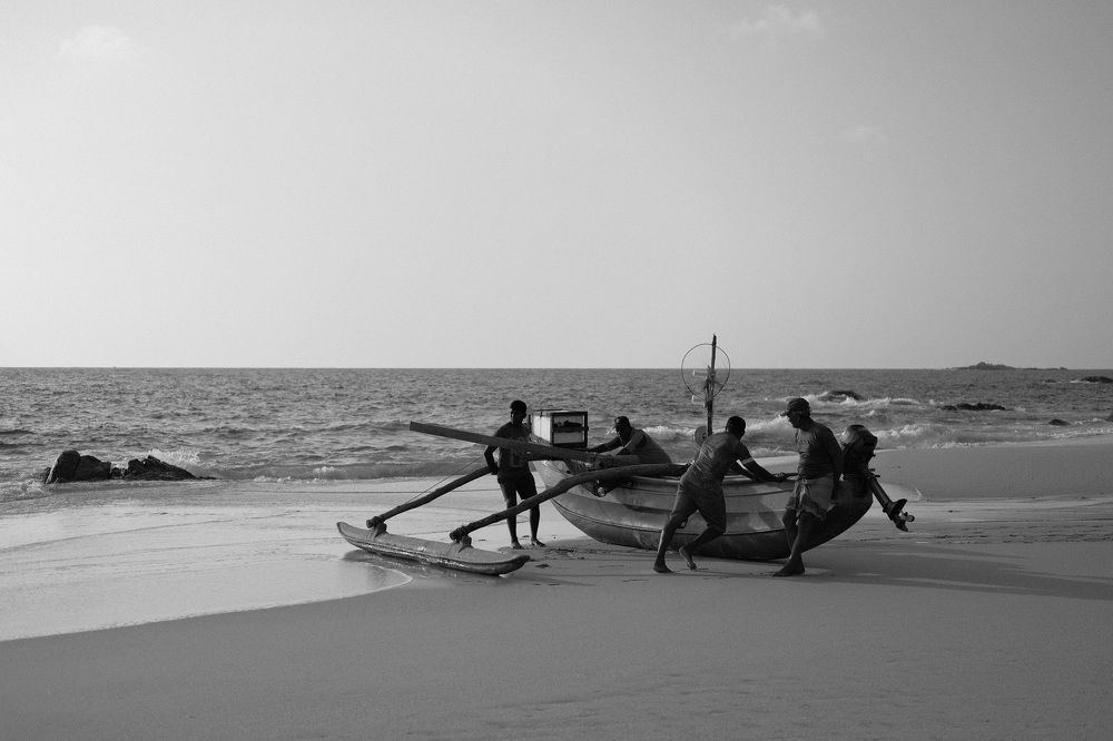 Photograph by Дарья Пронина