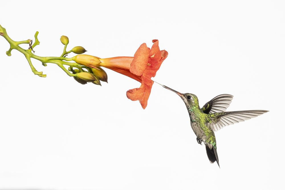 Photograph by Esteban Argerich