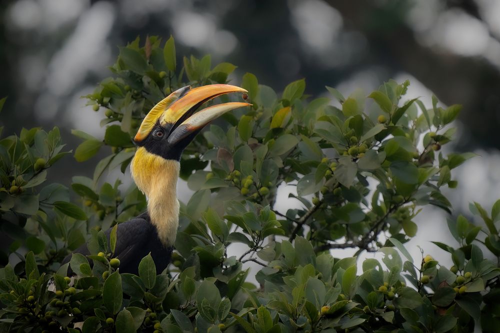 Фотография автора Prejul Prakash