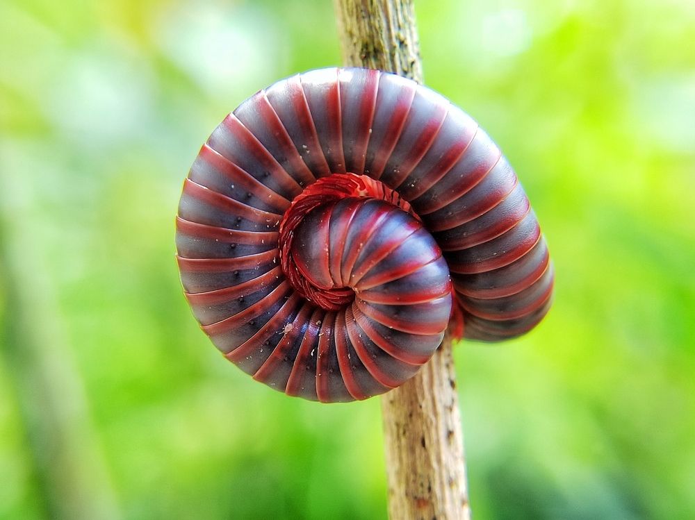 Photograph by archi binaKL