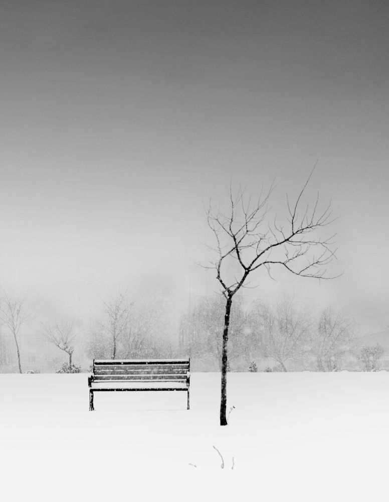 Photograph by payman Mollaie