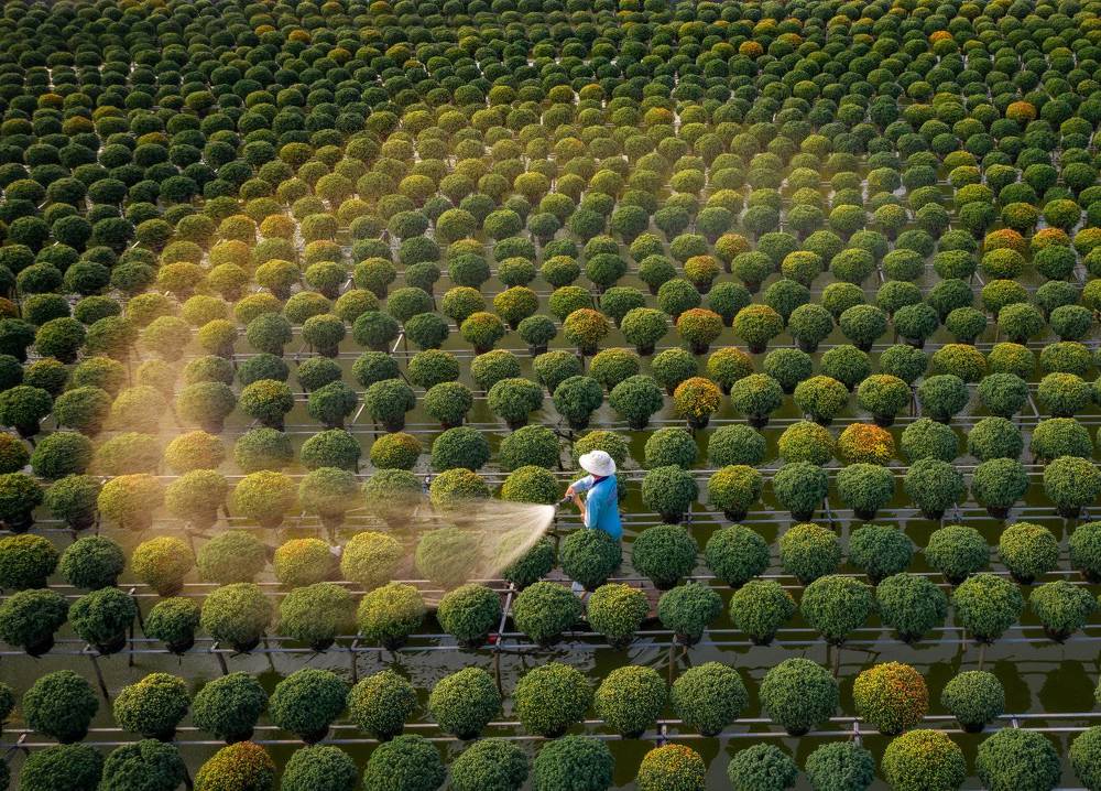 Preparing for Tet Holidays