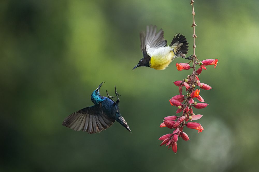 Photograph by Susavan Aditya