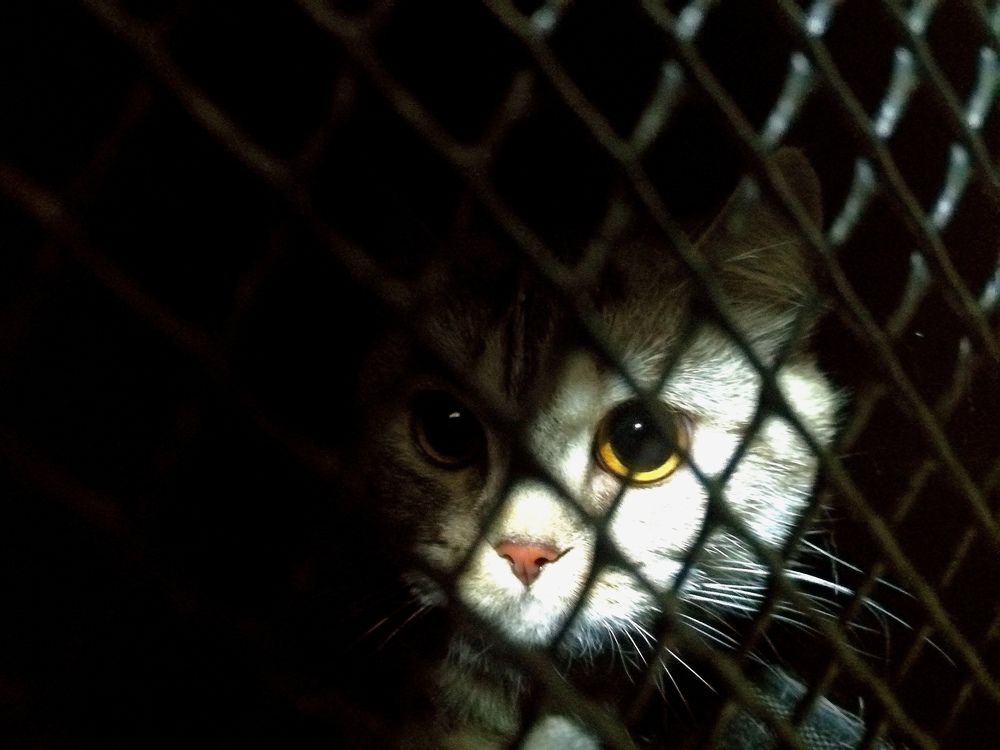 Photograph by Александра Зиновьева