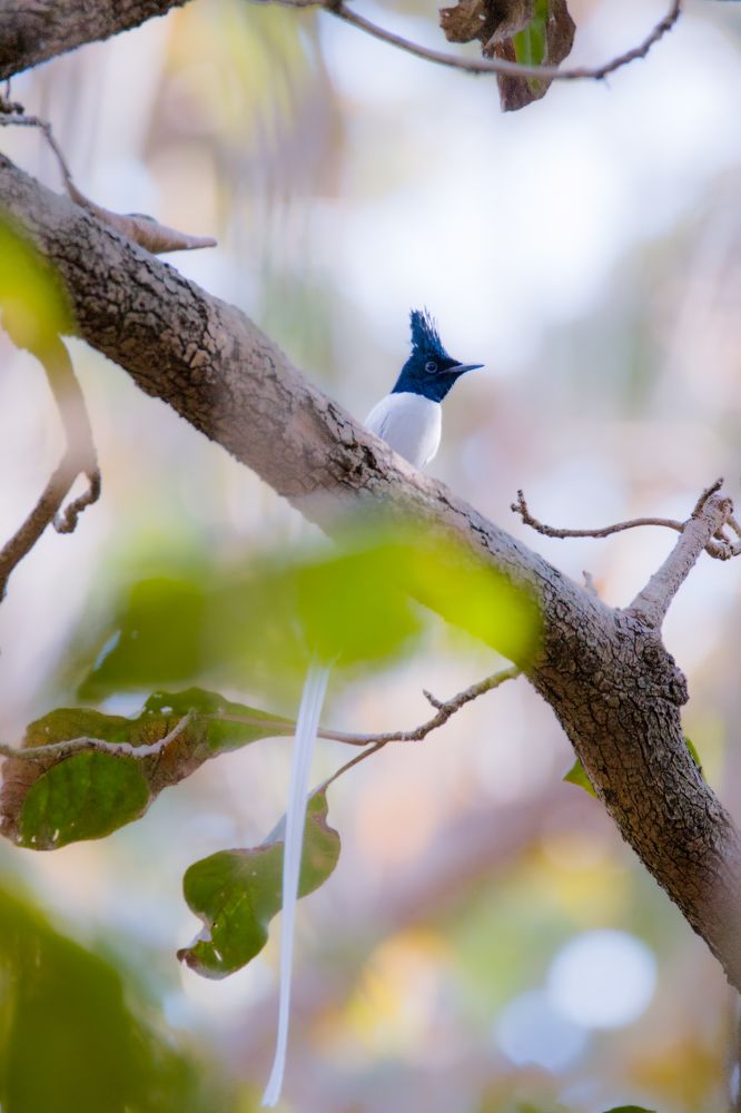 Photograph by sunil agadi