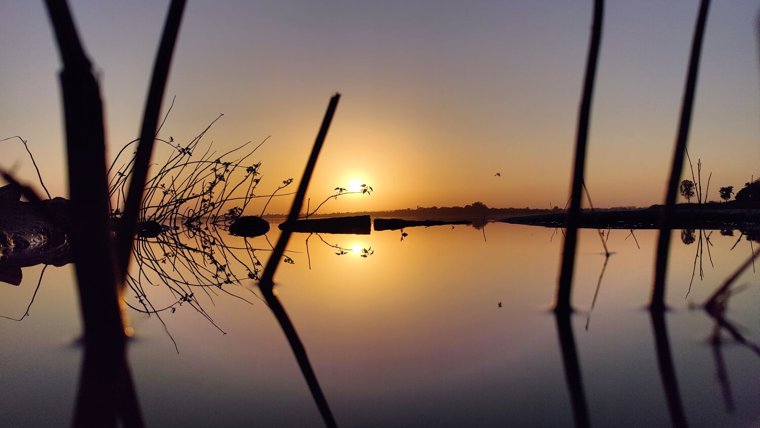 The Sun in the Water