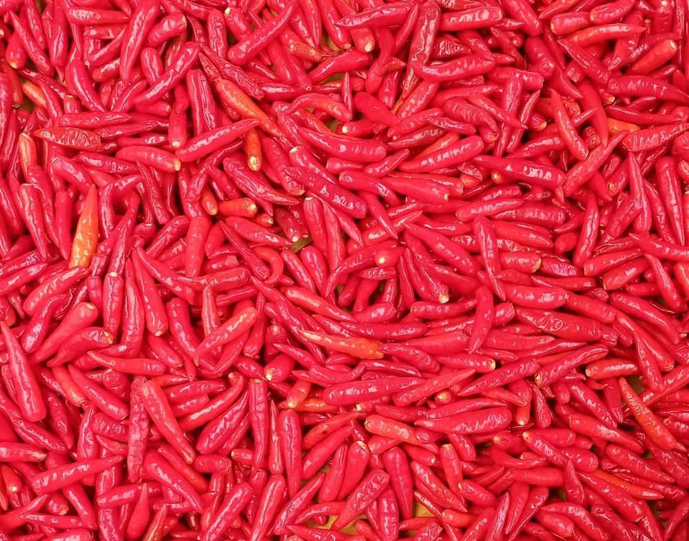 Vegetable market - Mauritius