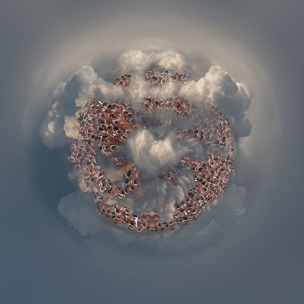 Фотография автора Ramin Barzegar