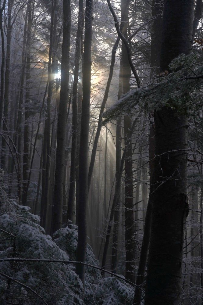 Photograph by Cristian Serban