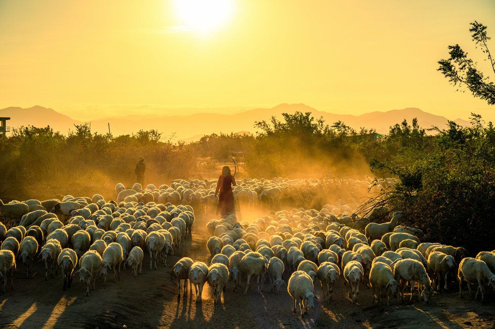 Photograph by Minh Tú Nguyễn