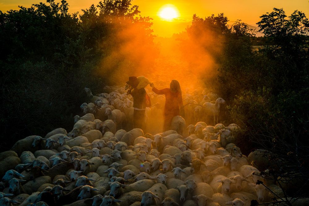 Photograph by Minh Tú Nguyễn