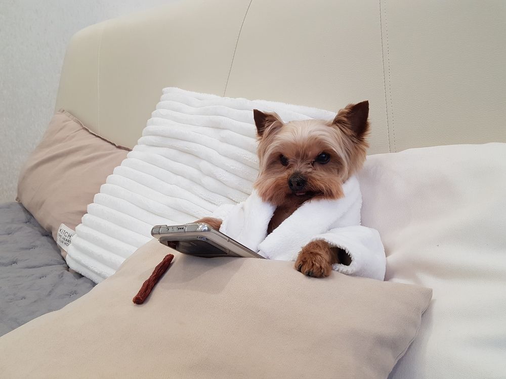 Photograph by Марина Стародуб