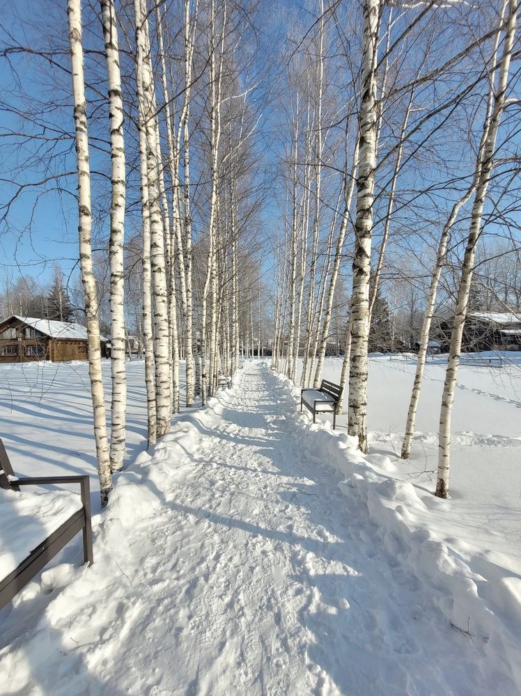 Photograph by Анна Новосельцева