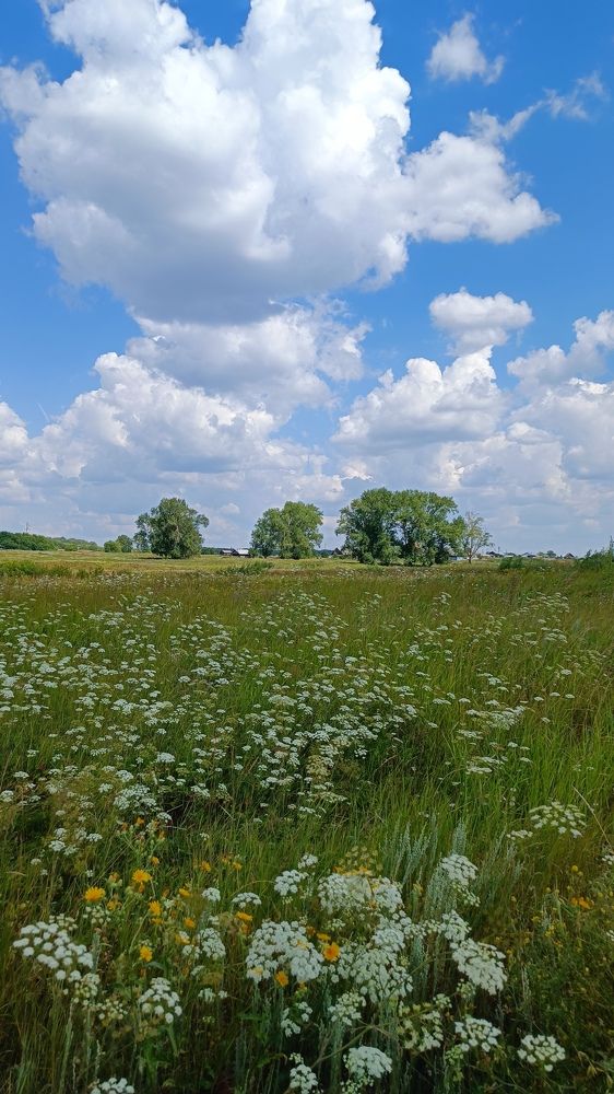 Прекрасным летним днём