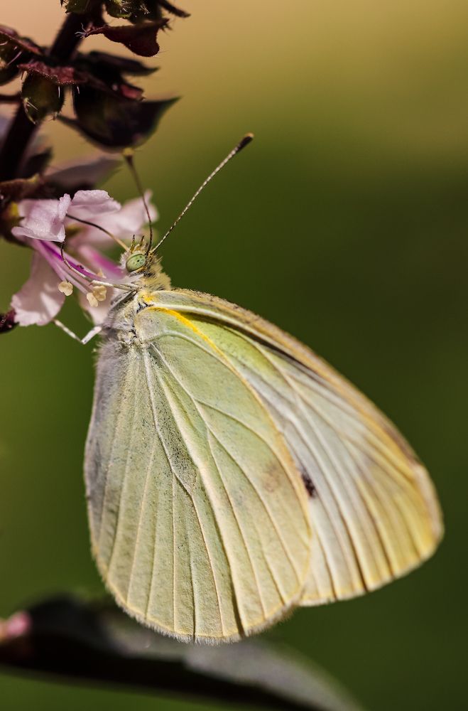 Photograph by Оксана Сафина