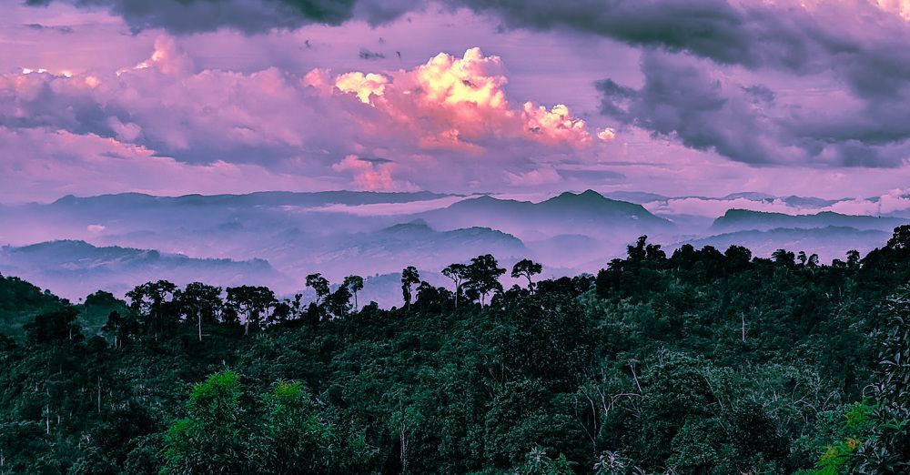 Photograph by Tahzid Ahsan