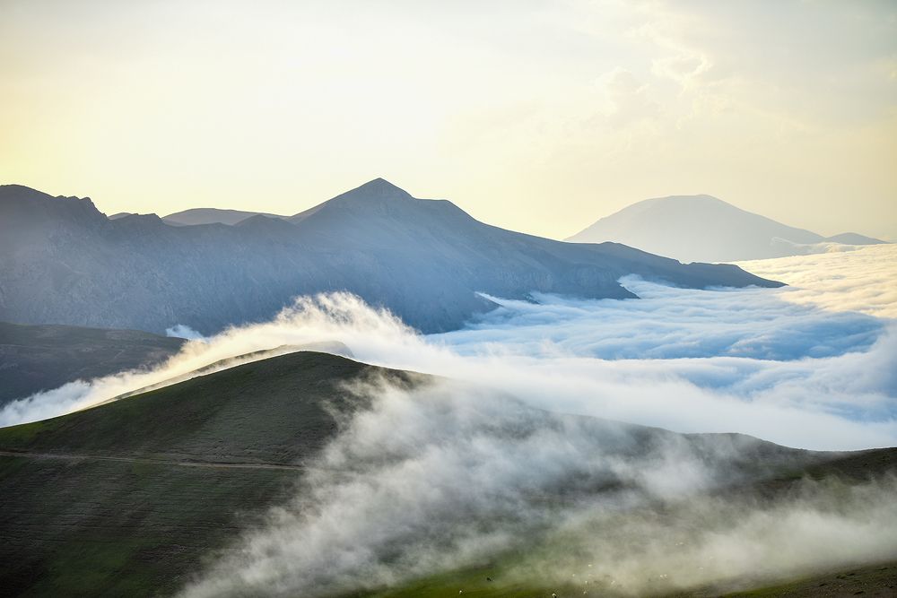 Фотография автора Farhad Alidost