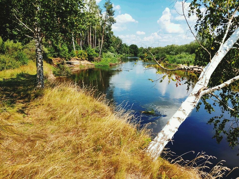 Photograph by Михаил Тумилович