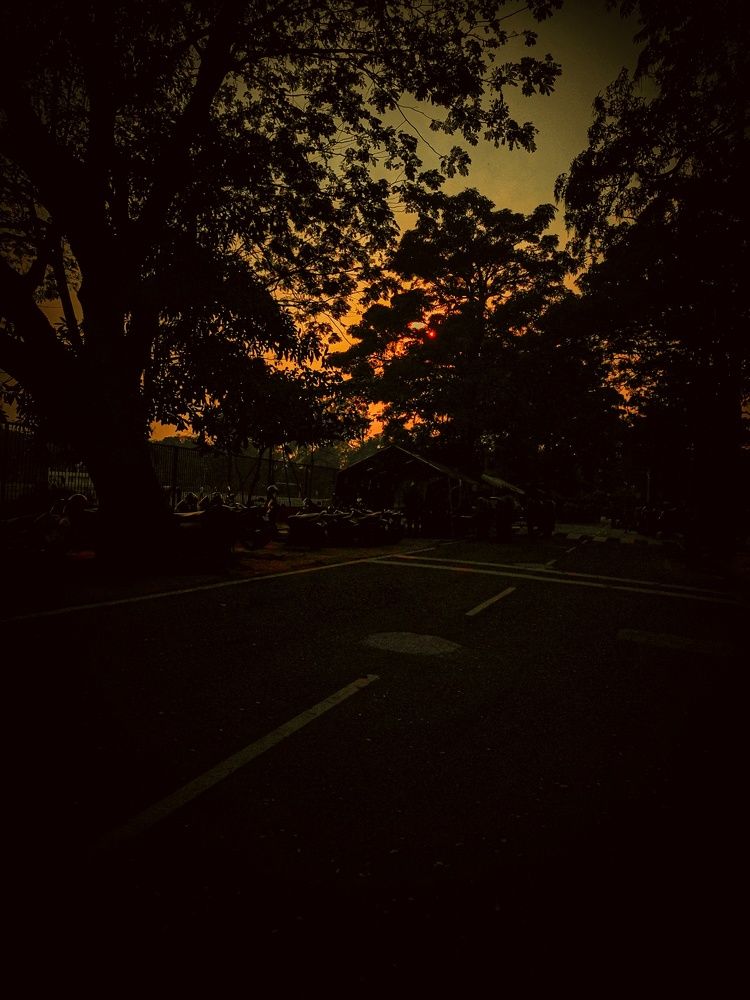 Photo #8905654