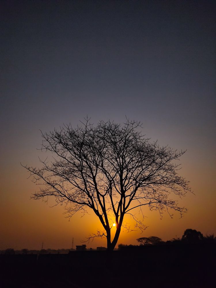 Photograph by Manoranjan Mallick