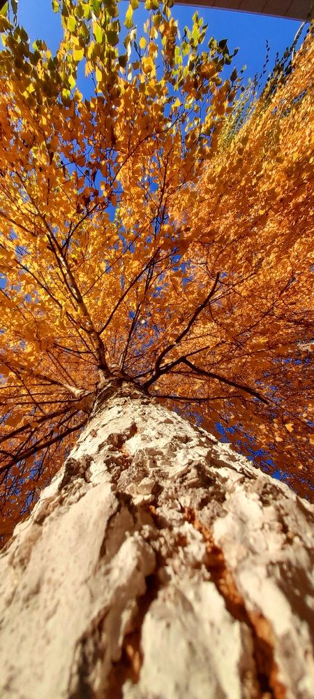 Photograph by Дмитрий Шумский