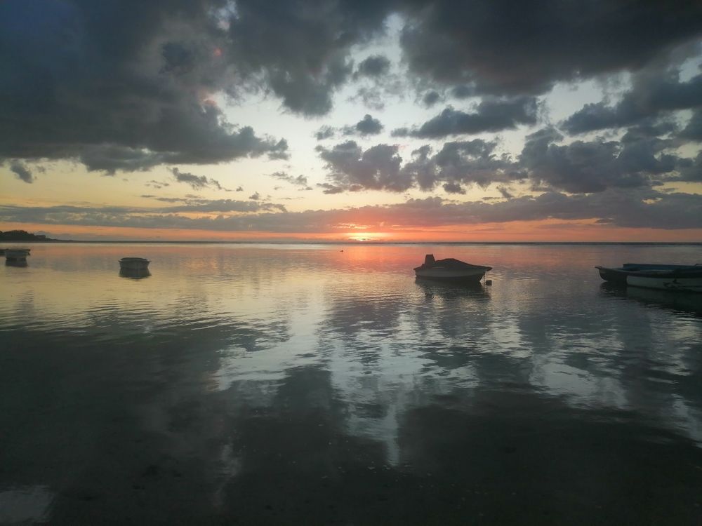 Photo #8905789